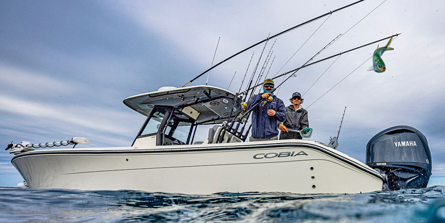 Compromise vs. Cobia: Check Out What Cobia’s Have It All Mantra Means